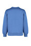 Indigo Kalın İçi Polarlı Regular/Normal Kalıp Bisiklet Yaka Basic Örme Sweatshirt TWOAW24SW00101 - 10