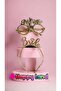 Plastic Gold - Written Glasses and Crown Set, Bridge to Be Bridge - 2