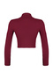 Claret Red Crop Stand Collar Knitwear Sweater TWOAW24KZ01206 - 8