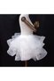Cloudy Voluminous Tutu Skirt with Flounces - 8