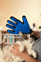 Aveo 1 Piece Hair Collection Glove for Cats and Dogs - 5