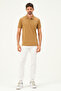 Classic Cotton Regular Comfort Men's Polo Collar T-Shirt