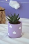 Five Piece Office Set| Pen Holder Flower Pot Plant Notepad Holder Business Card Holder - 6