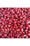 Rosehip 1000g - 3