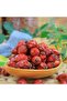 Rosehip 1000g - 2