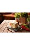 Zebina Cheese Cutting/Guillotine - 2