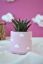 Five Piece Office Set| Pen Holder Flower Pot Plant Notepad Holder Business Card Holder - 7