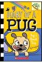 Pug's Road Trip - Diary of a Pug - 2