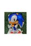 Fox Sonic Boom Star with Balloon Concept Birthday Party Balloon Set Sonic Theme Party Balloon Set - 2