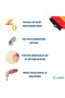 Window Lock 10 Pieces Rope Light Coffee Door and Window Safety Apparatus Safety Product Lock - 6