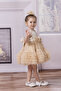BABY TULLE DRESS - 2
