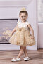 BABY TULLE DRESS