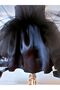 Girl's Black Lined 29 October Tulle Tutu Skirt 23 April - 2