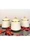 Luxury Gold Gilded 3-Piece Porcelain Spice Jar Set - 6