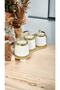 Luxury Gold Gilded 3-Piece Porcelain Spice Jar Set