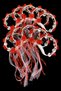 Red Fancy Bride Bridesmaid Henna Night Wedding Circumcision Tambourine, Three Size Laser Flower Ribbon Ornamented 5 Pieces - 2