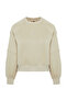 Taş Bisiklet Yaka Regular Fit Nakışlı Kalın İçi Polarlı Örme Sweatshirt TWOAW24SW00199 - 5