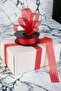 Chiffon Red Ribbon 2.5 Cm Ribbon 20 Meters - 2