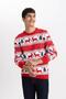 New Year's Themed Standard Fit Regular Cut Patterned Crew Neck Knitwear Sweater B2361Ax23Wn - 3