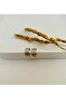 Stainless Steel Silver Color Cartilage Earrings & Hair Earrings - 3