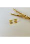 Stainless Steel Leaf Detailed Cartilage Earrings & Hair Earrings