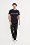 Crew Neck Stripe Detailed Basic T-Shirt