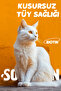 Kedi Bağışıklık Seti (multi Paste & Plus B & Immune C) - 7