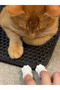 Pet Cat Paw Toy 2 Pieces - 4