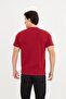 Crew Neck Stripe Detailed Basic T-Shirt - 5