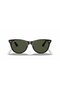 RB2185 902 31 55 نظارات شمسية للجنسين - 5