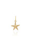 Seastar Charm