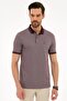 Claret Red Regular Fit Polo Collar T-Shirt