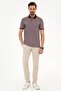 Claret Red Regular Fit Polo Collar T-Shirt - 4