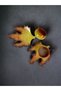 Decorative Plane Leaf Figured Tea Coffee Cup Set in Yellow and Coffee Colors for 2 People - 3