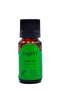 Pine Oil 10 ml 100% Pure Pine Essential Oil - 2