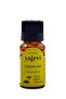 Fennel Oil 10 ml 100% Pure Fennel Essential Oil
