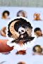 12 Pieces Sleepy Animals Sticker Set Cute Animals Sticker Kids Sticker - 3