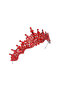 Dense Crystal Jewelled Bridal Crown Wedding Crown Crystal Wedding Crown For Henna Red - 6