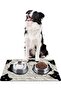 Food and Water Pet Feeding Mat, Easy Cleaning Absorbent Waterproof Fabric, Small Medium - 6