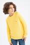 Boy's Regular Fit Crew Neck Sweater