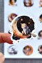 12 Pieces Sleepy Animals Sticker Set Cute Animals Sticker Kids Sticker