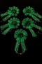 Green Bundle Ornament, Bride Groom Dowry Wedding Engagement Convoy Bride Car Circumcision Henna Ornament 5 Pieces - 4