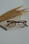 Unisex Women Men Blue Light Protected Blue Block Transparent Oval Round Leopard Glasses - 2