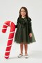 Velvet Green Dress with Bow Collar