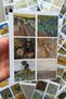 16 Pieces Van Gogh Sticker Set 96 Pieces Square Laptop Sticker - 4
