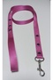 Dog walking strip