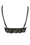 Fall In Love Lace Padded Bra - 2