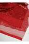 Sequin Sequin Fabric - 2