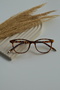 Unisex Women Men Blue Light Protected Blue Block Transparent Oval Round Leopard Glasses - 7