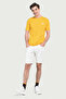 Bass Light Yellow Crew Neck Printed 100% Cotton Standard Fit Men's Tshirt - 3
